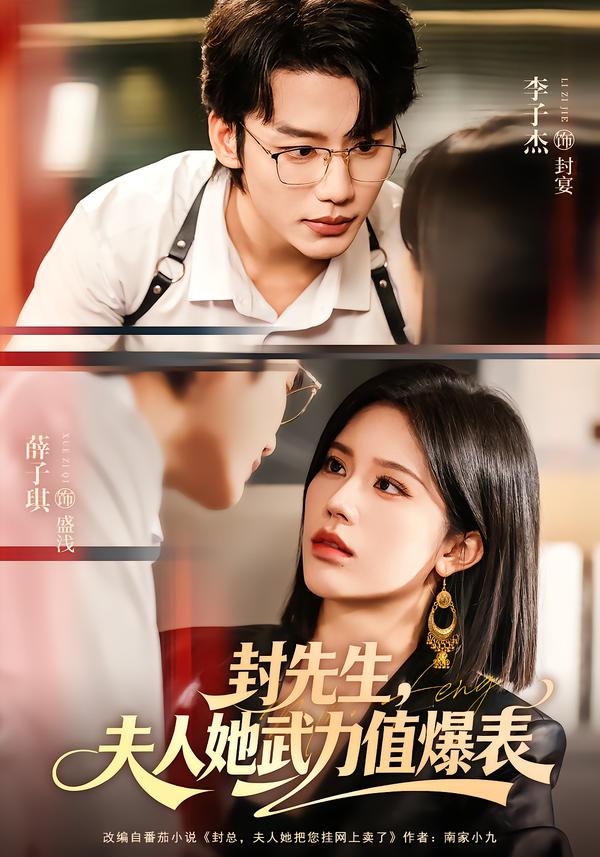 封先生，夫人她武力值爆表海报