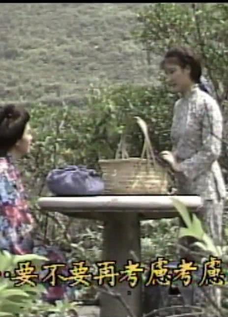 向太阳挑战