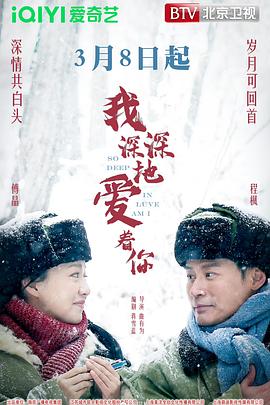 我深深地爱着你海报