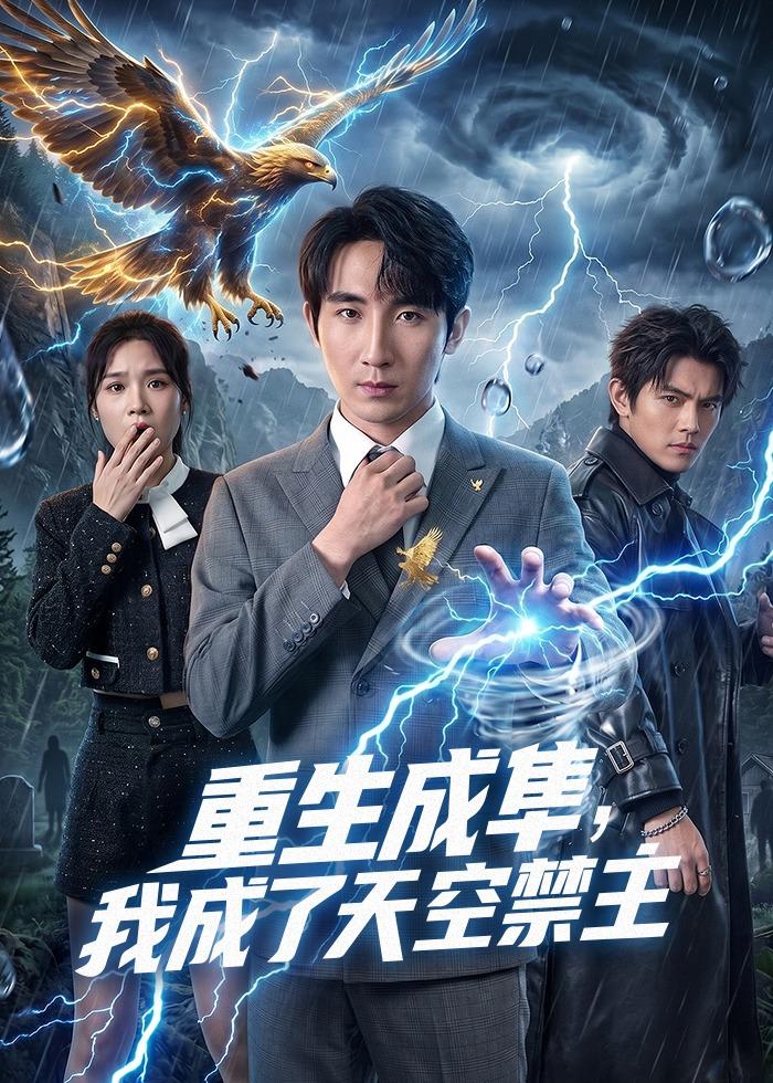 重生成隼，我成了天空禁主海报